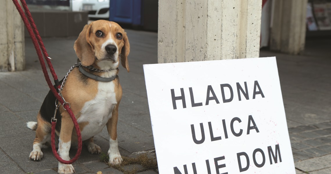 Posavska Hrvatska : Briga i ljubav o životinjama trebaju trajati godinama