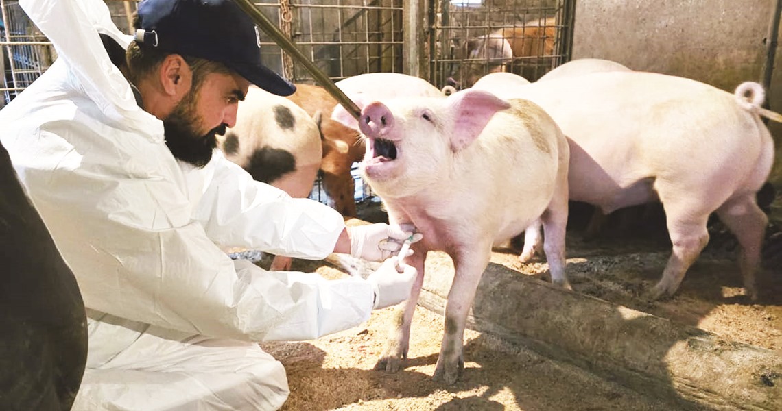 Posavska Hrvatska : Više veterinarki i radije posao s malim kućnim ljubimcima 