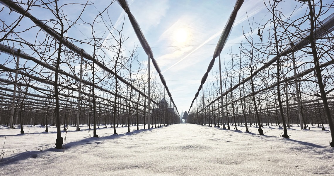 Posavska Hrvatska :  Snijeg i niske temperature pogodni 