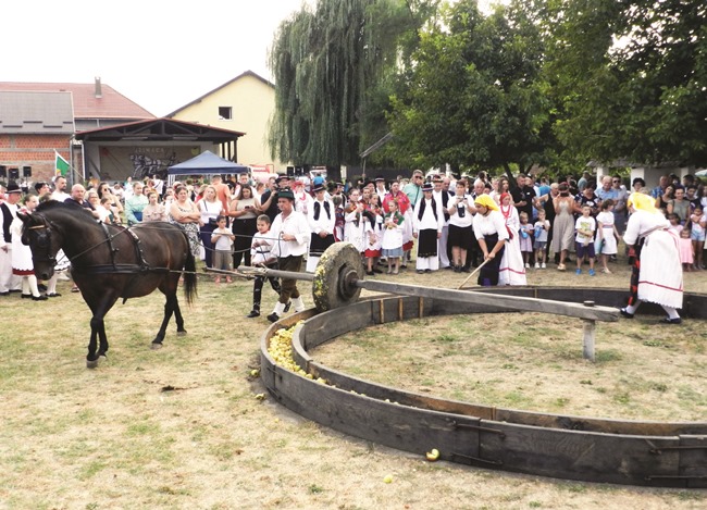 Aktualno :  U Beravci ižimača (još) ima