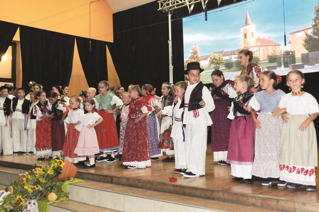 Posavska Hrvatska : Sto godina „Graničara”