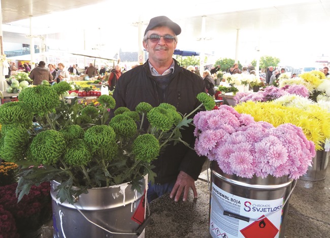 Slavonski Brod : Svi nose krizanteme 