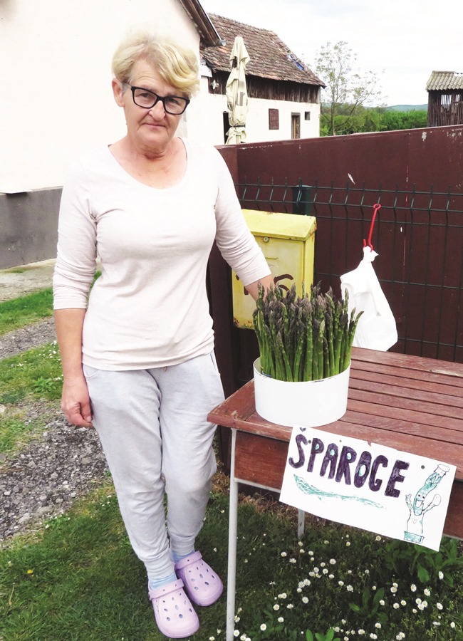 Posavska Hrvatska : Jednostavne za uzgoj, ukusne i zdrave 