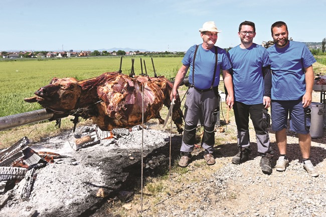 Posavska Hrvatska : Zajedništvo iznad svega